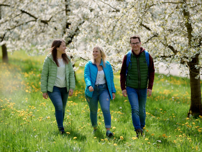 Aktionstag auf dem Brennersteig